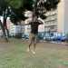 Sto cominciando a imparare  ci dice orgoglioso il giovane -. Anche se in realt pratico lo Slacklining solo per meditare: appena salgo mi sento libero e rilassato, provando quasi la sensazione di galleggiare